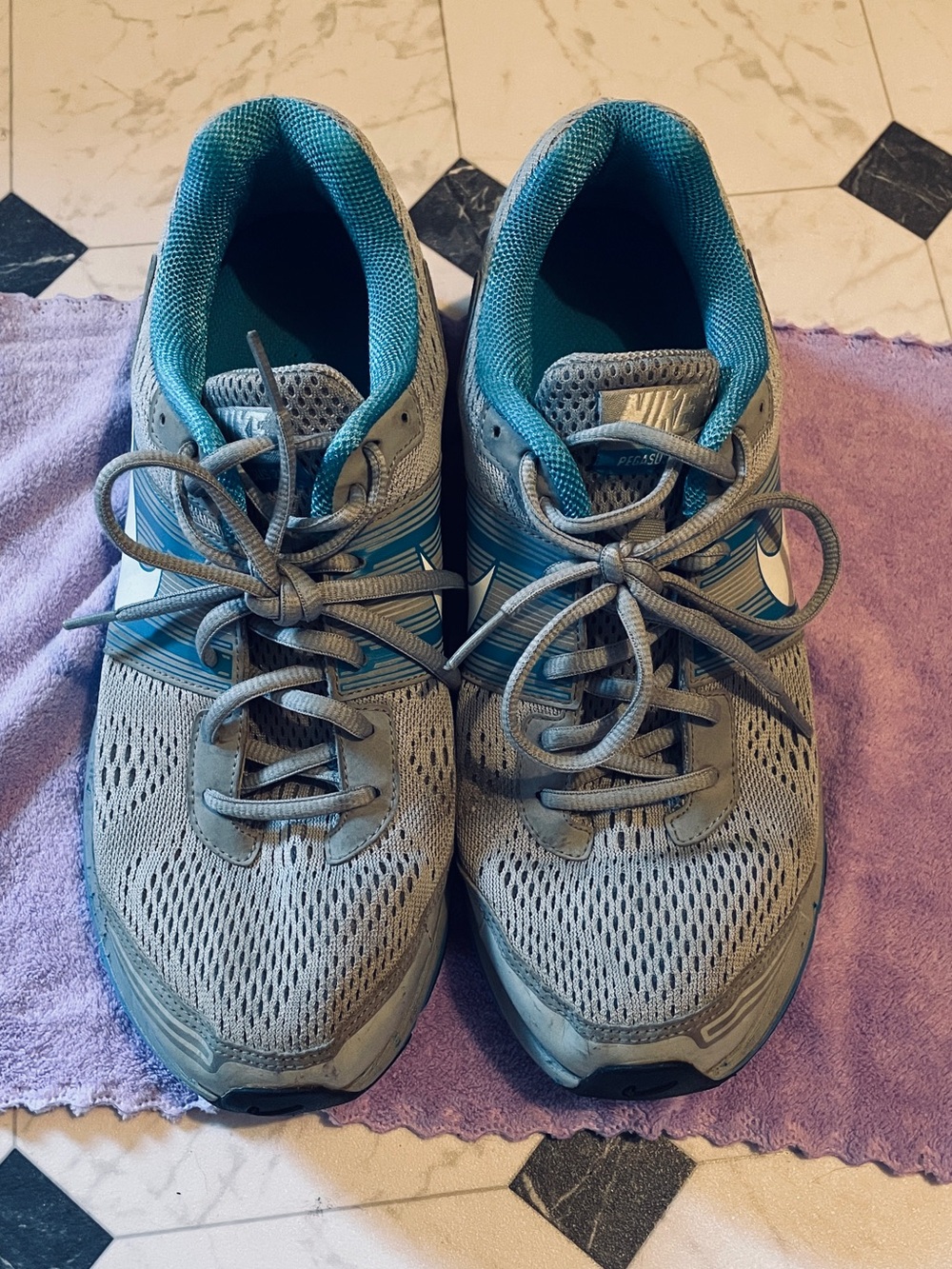 Nike Air Zoom Pegasus Plus 29 Running Shoes